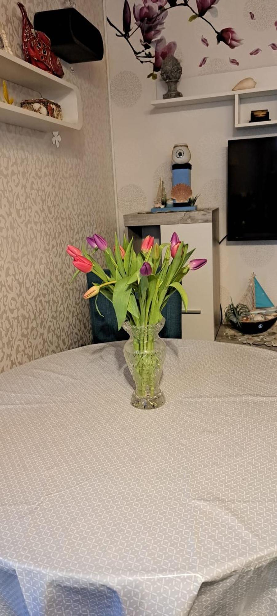 Fewo Seerose Zempin Exterior foto